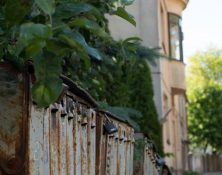 EKSKURSAS: Miestas kaip tekstas. Beieškant raudonmedžio rojaus.